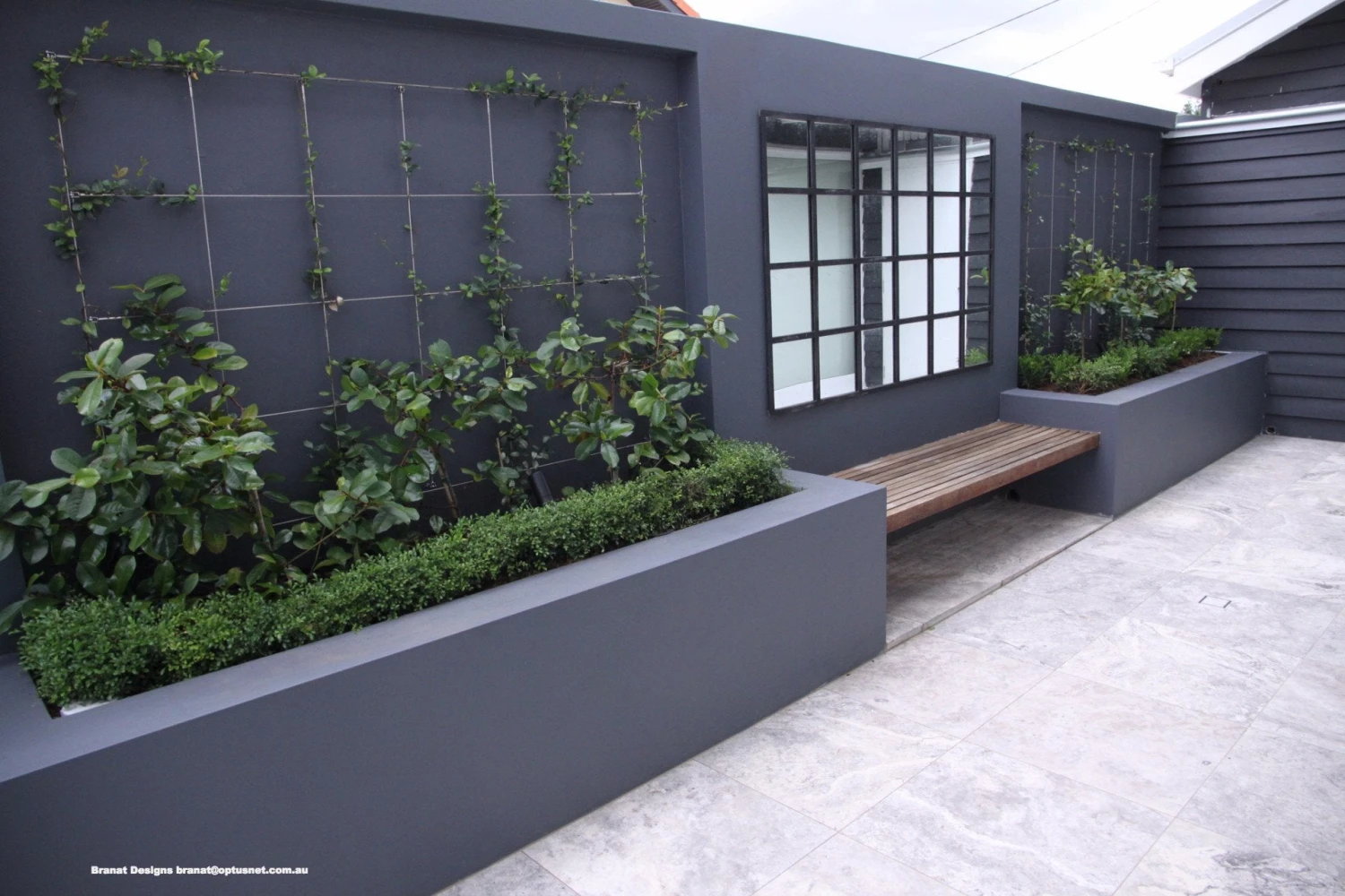 Murraya Min-a-Min Dwarf Hedging Pack - Image 8