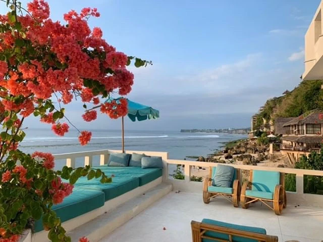 Assorted Box Of Bougainvillea Plants - Large - Image 4