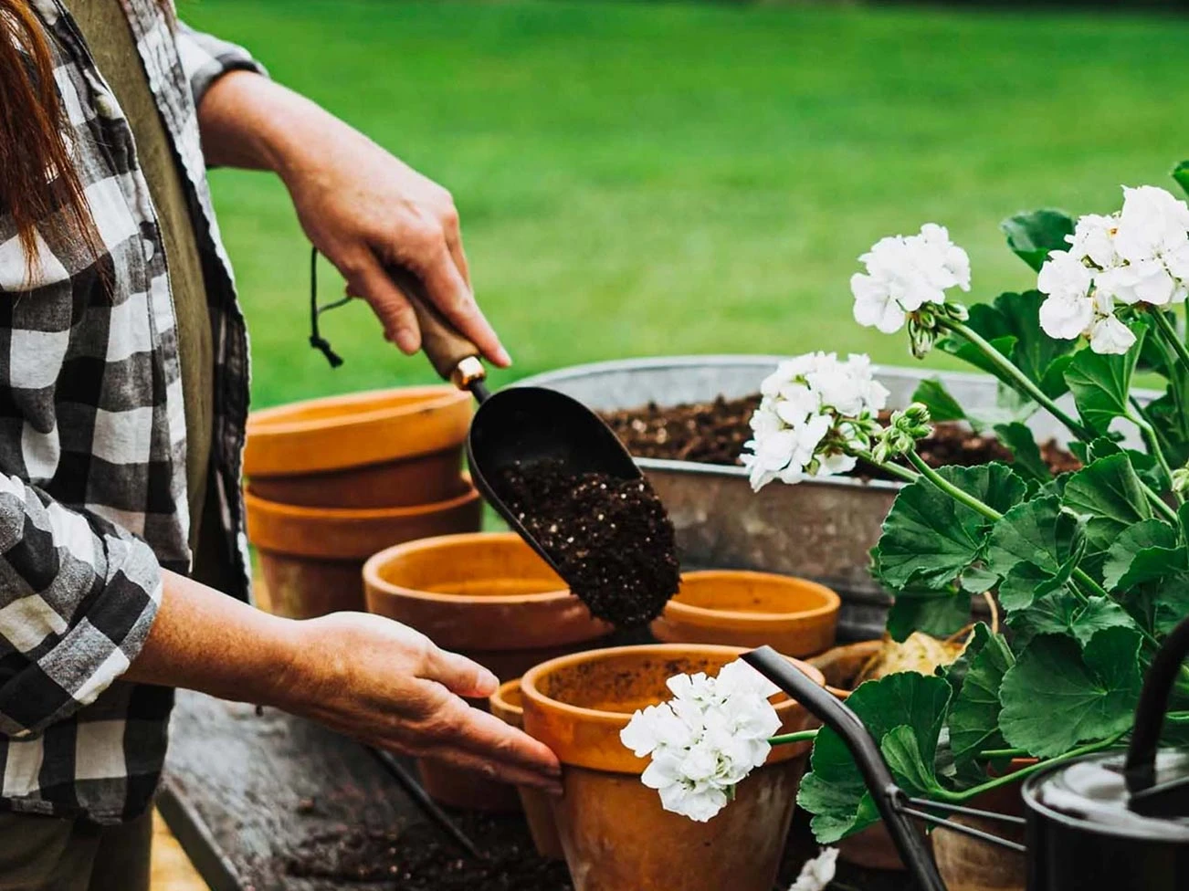 Barebones Soil Scoop - Image 4