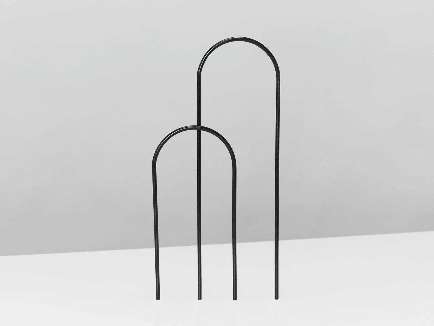 Rhaphidophora Gift Box - Pot + Plant + Soil + Double Arch Stake - Image 5