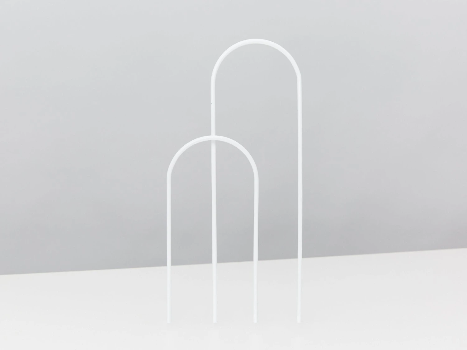 Rhaphidophora Gift Box - Pot + Plant + Soil + Double Arch Stake - Image 6