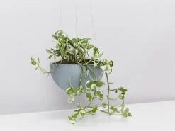 Ecopots Eco-Friendly Hanging Planters