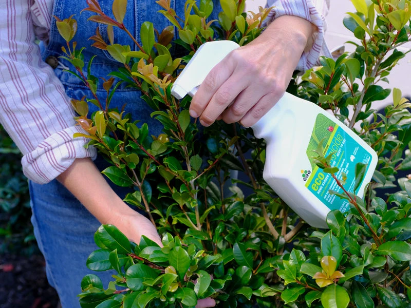 Eco Organic Fungicide - Image 3