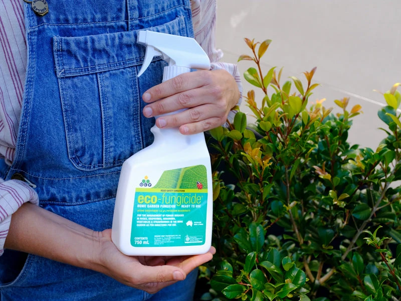 Eco Organic Fungicide - Image 5