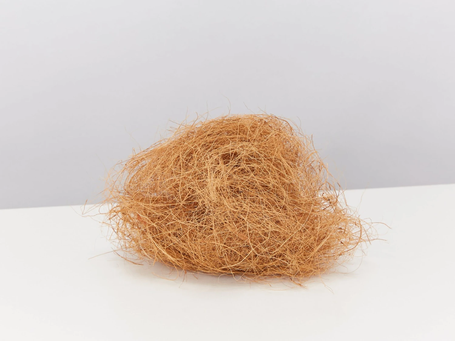 Elho Eco Friendly ♻️Gift Box - ZZ Plant - Image 6