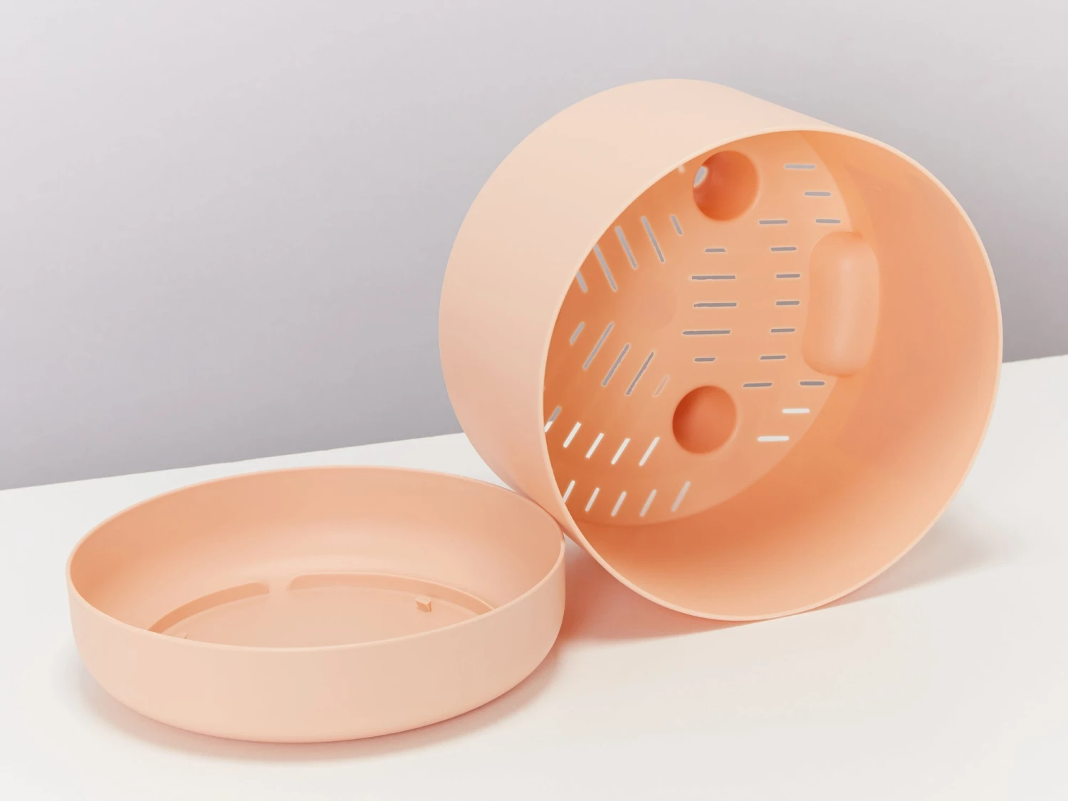 Rhaphidophora Gift Box - Pot + Plant + Soil + Double Arch Stake - Image 10