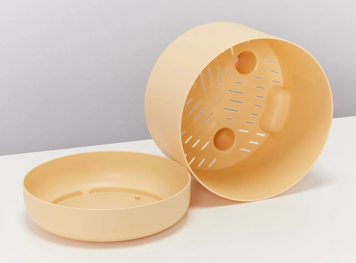 Calathea Ornata Sanderiana - Pot + Plant + Soil - Image 10