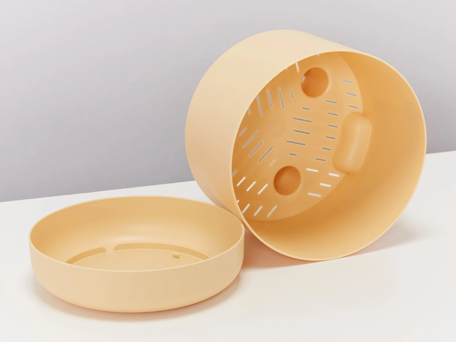 Rhaphidophora Gift Box - Pot + Plant + Soil + Double Arch Stake - Image 9