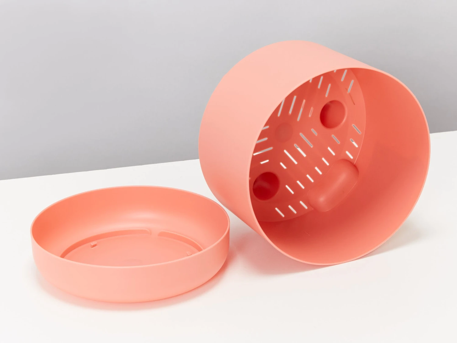 Rhaphidophora Gift Box - Pot + Plant + Soil + Double Arch Stake - Image 13