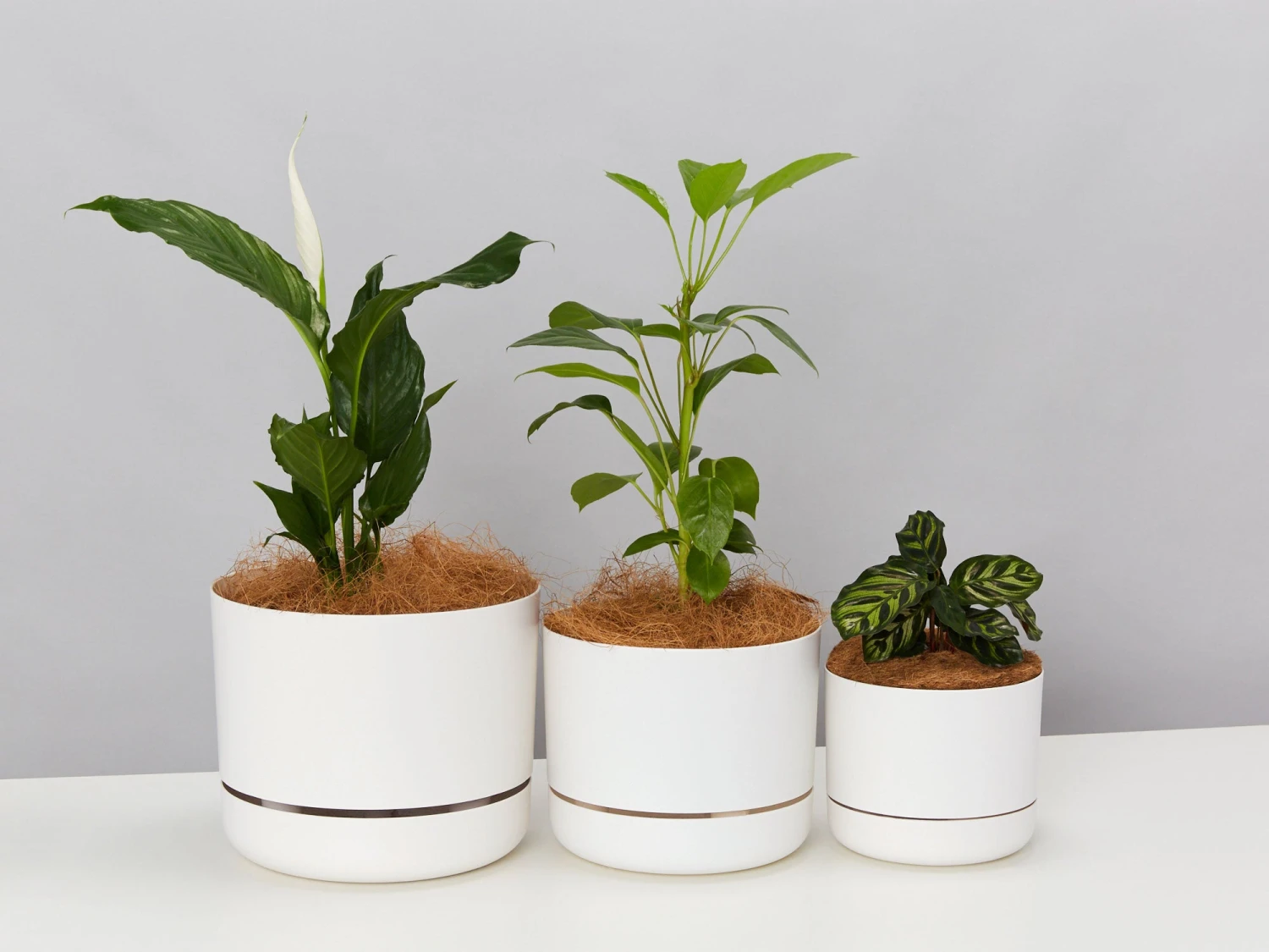 Self-Watering Pot Clusters - 3 Different Sizes - Image 8