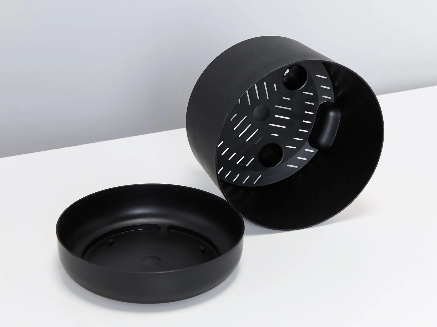 Sansevieria Trifasciata Moonshine With Pot Option - Image 6