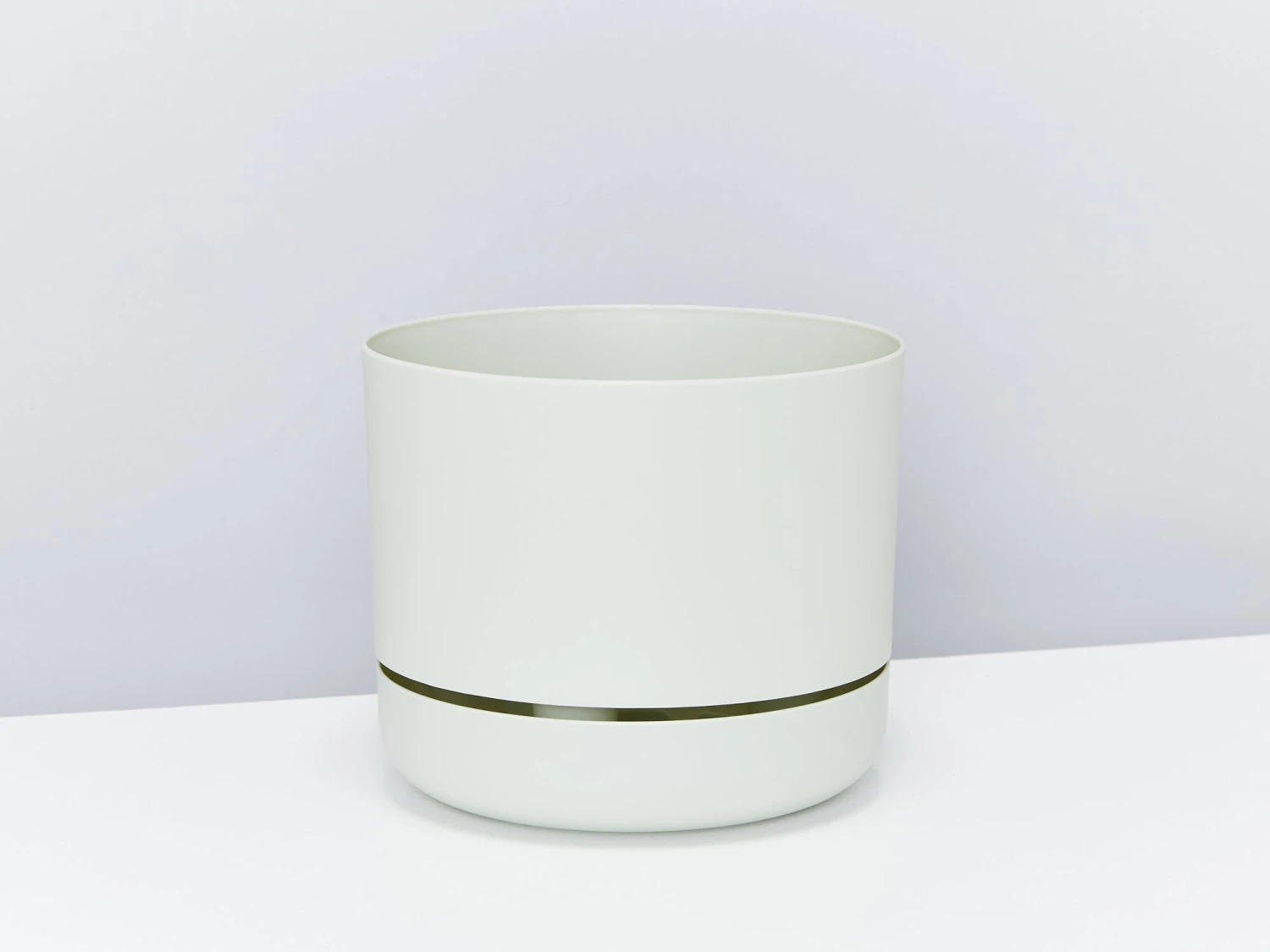 Peperomia Silver Ripple - Pot + Plant + Soil - Image 6