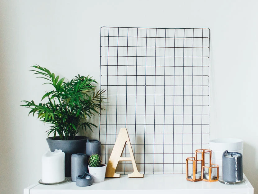 Chamaedorea Elegans Parlour Palm - Image 4