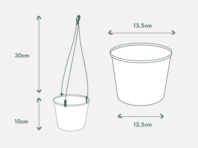 String Of Beans - Image 3