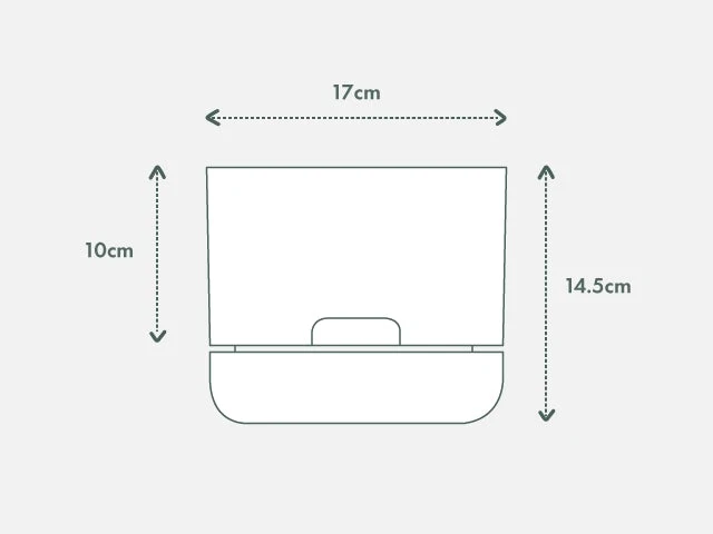 Calathea Julia - Pot + Plant + Soil - Image 15