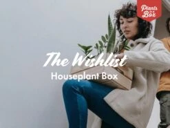 The Houseplant ???? Wishlist Box