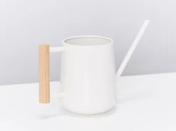 Compact Indoor Watering Can