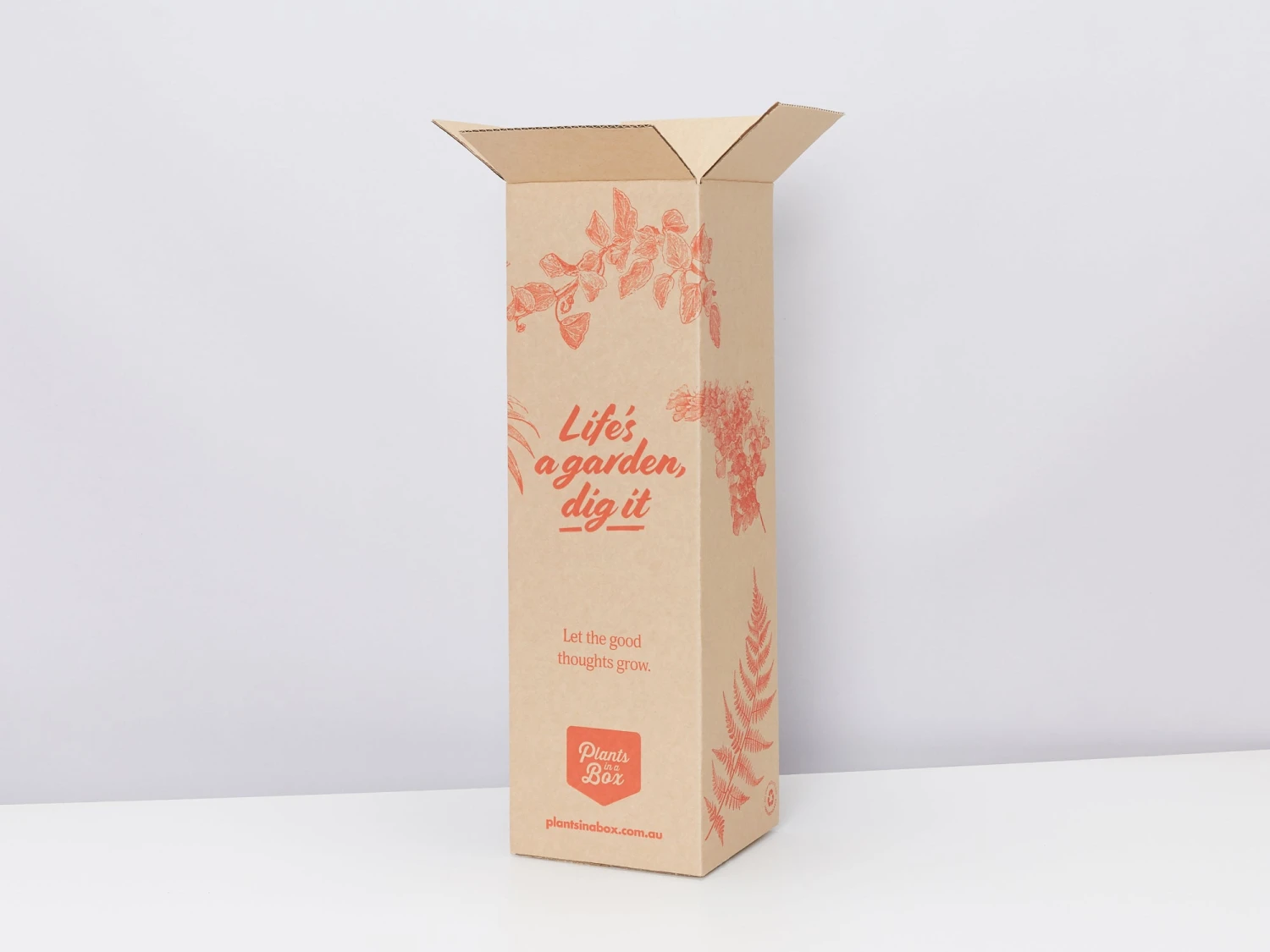 Elho Eco Friendly ♻️Gift Box - Fern Varieties - Image 8