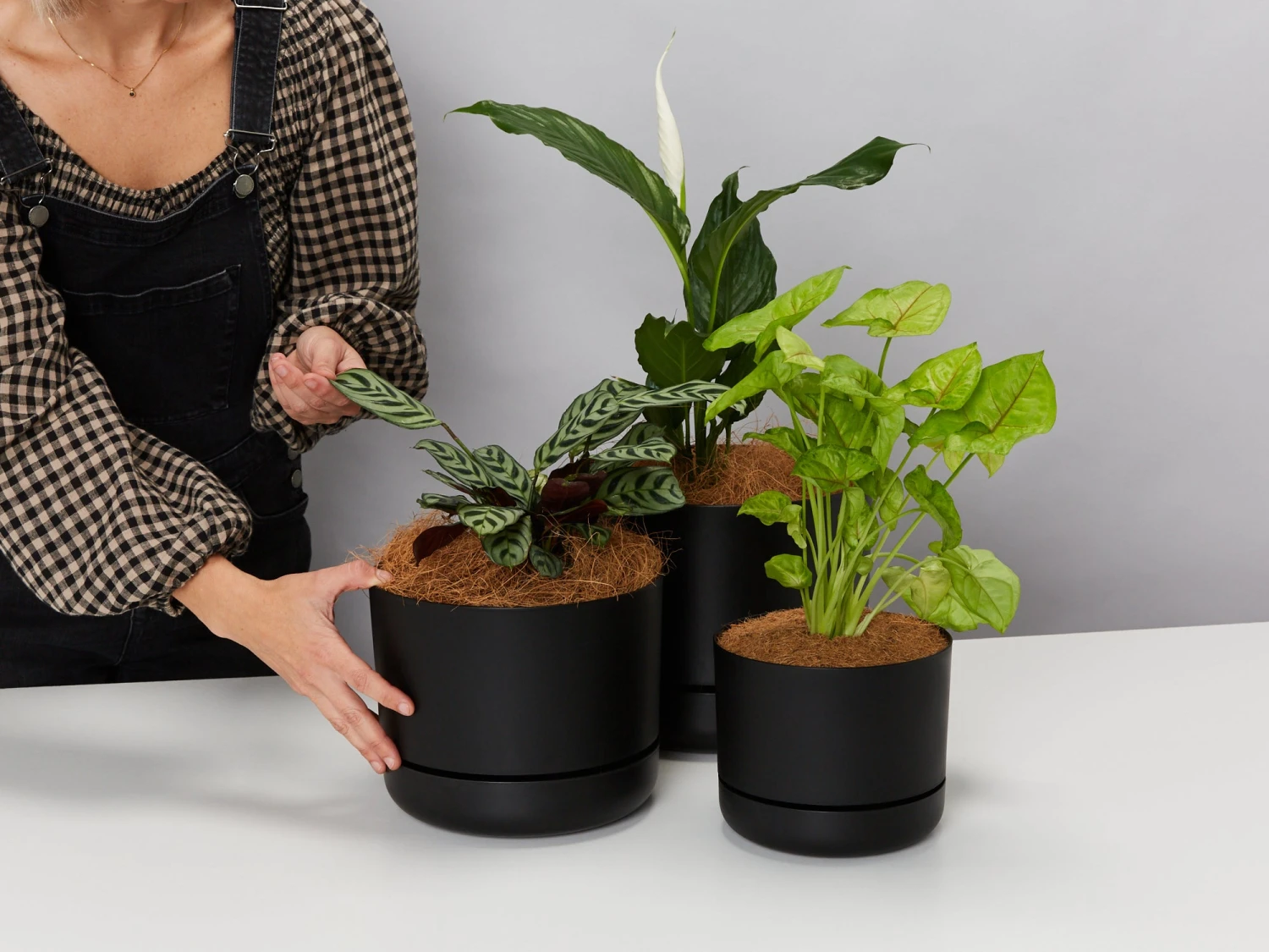 Self-Watering Pot Clusters - 3 Different Sizes - Image 5