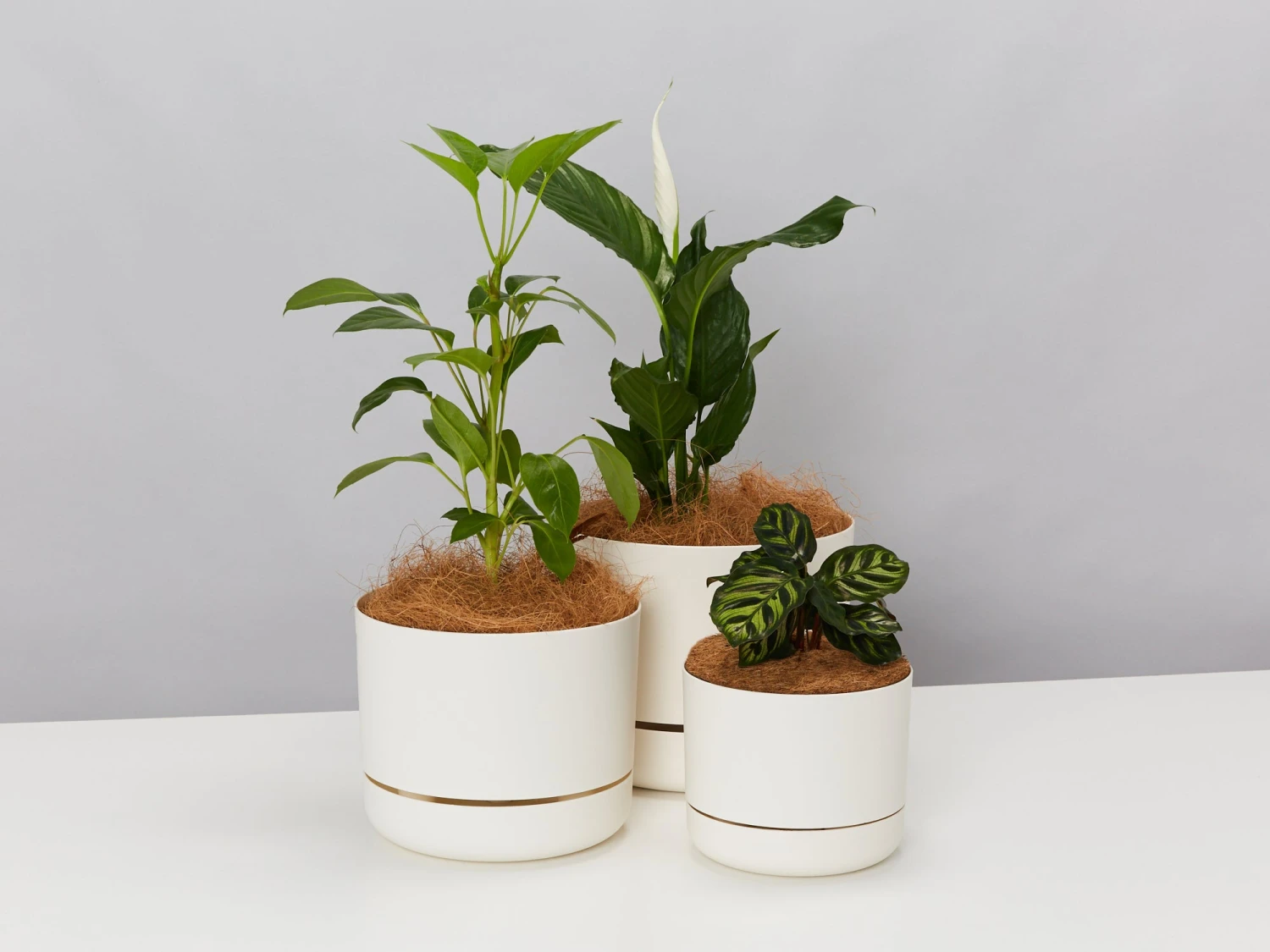 Self-Watering Pot Clusters - 3 Different Sizes - Image 10