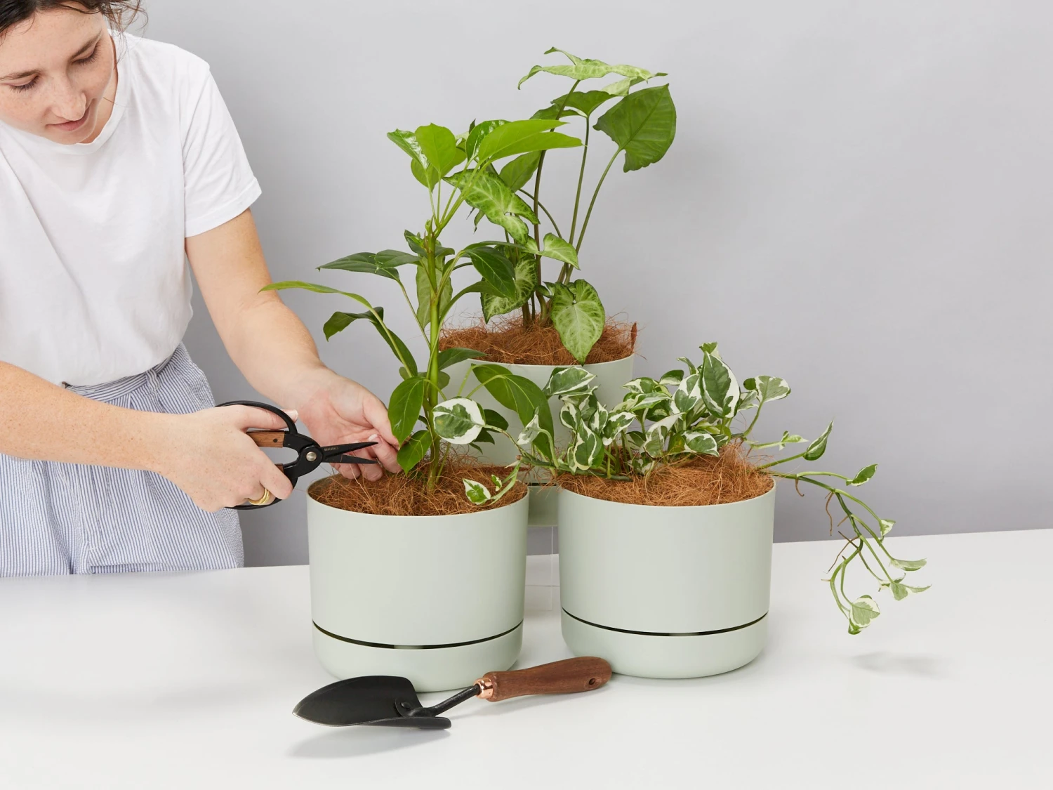 Self-Watering Pot Clusters - 3 Different Sizes - Image 6