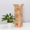 Elho Eco Friendly ♻️Gift Box - Peace Lily