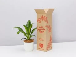 Elho Eco Friendly ♻️Gift Box - The Happy Plant