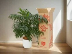 Elho Pet-Friendly Eco ♻️ Gift Box