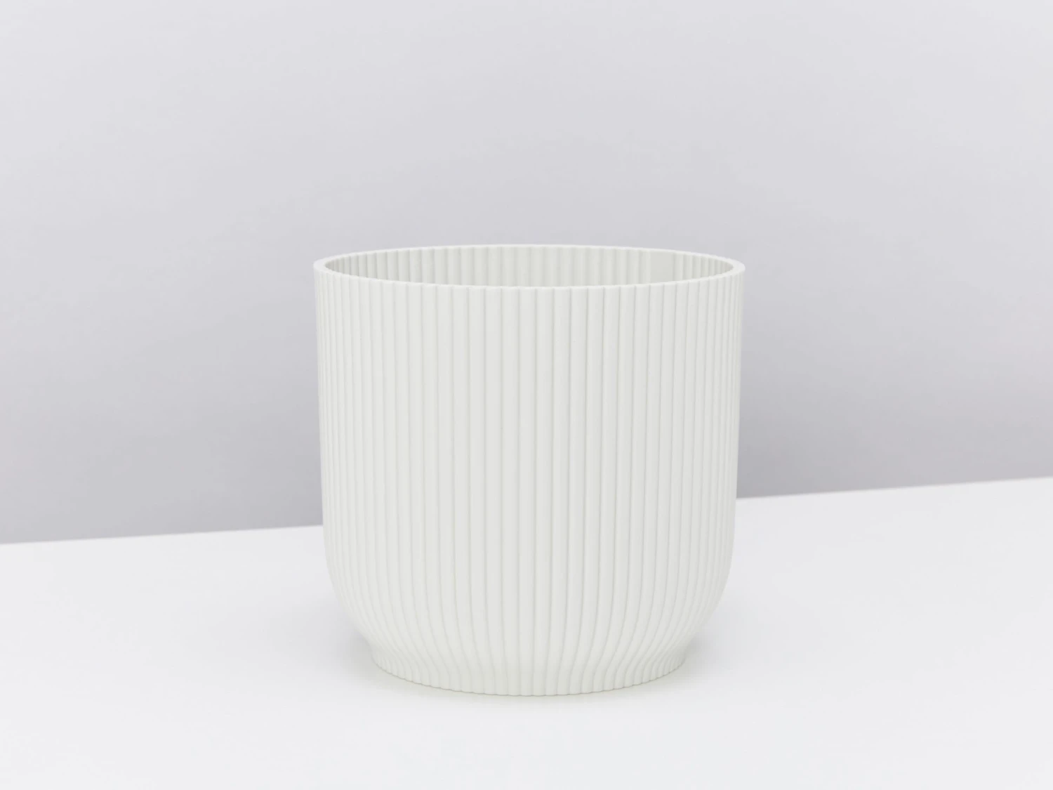 Elho Eco Friendly ♻️Gift Box - ZZ Plant - Image 4