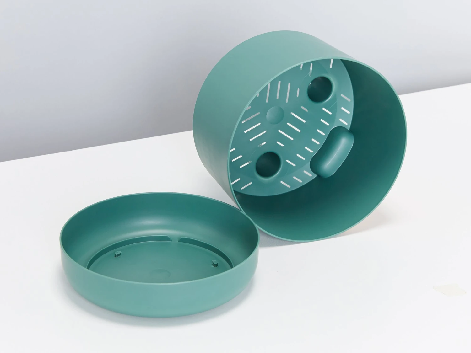 Rhaphidophora Gift Box - Pot + Plant + Soil + Double Arch Stake - Image 14