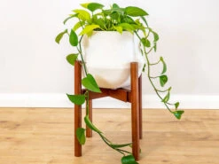 Adjustable Bamboo Plant Stand - Walnut