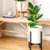 Adjustable Bamboo Plant Stand - Black