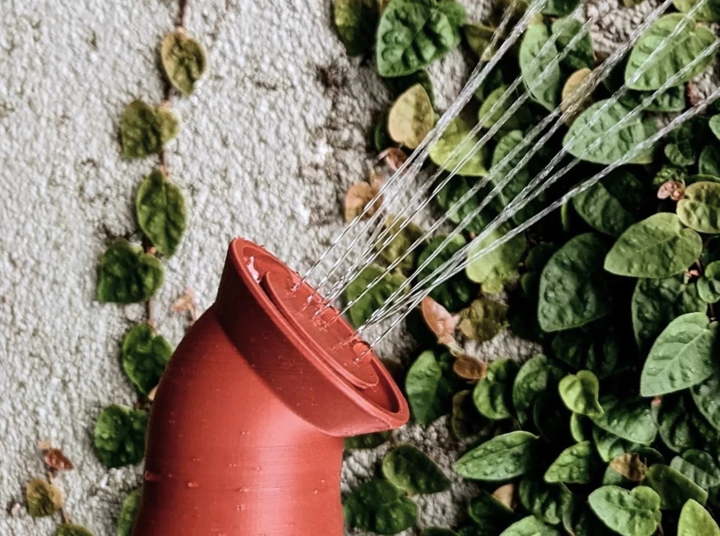 Sprout Water Bottle Attachment For Plants - Image 3