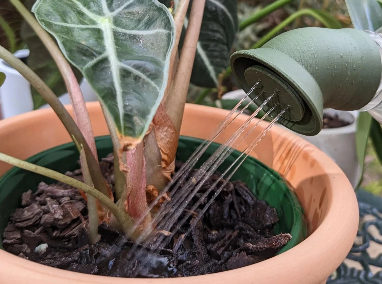 Sprout Water Bottle Attachment For Plants - Image 6