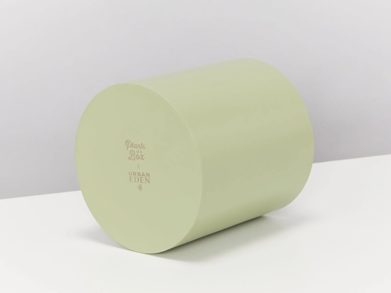 Urban Eden Vessel - Sage - Image 2