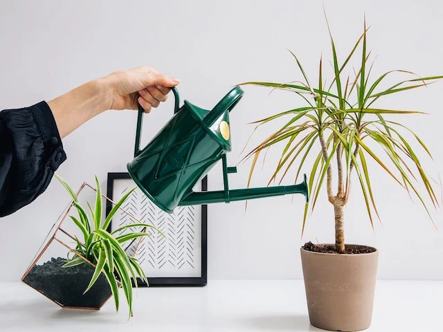 Heritage ♻️Watering Can - Blue Or Green - Image 6