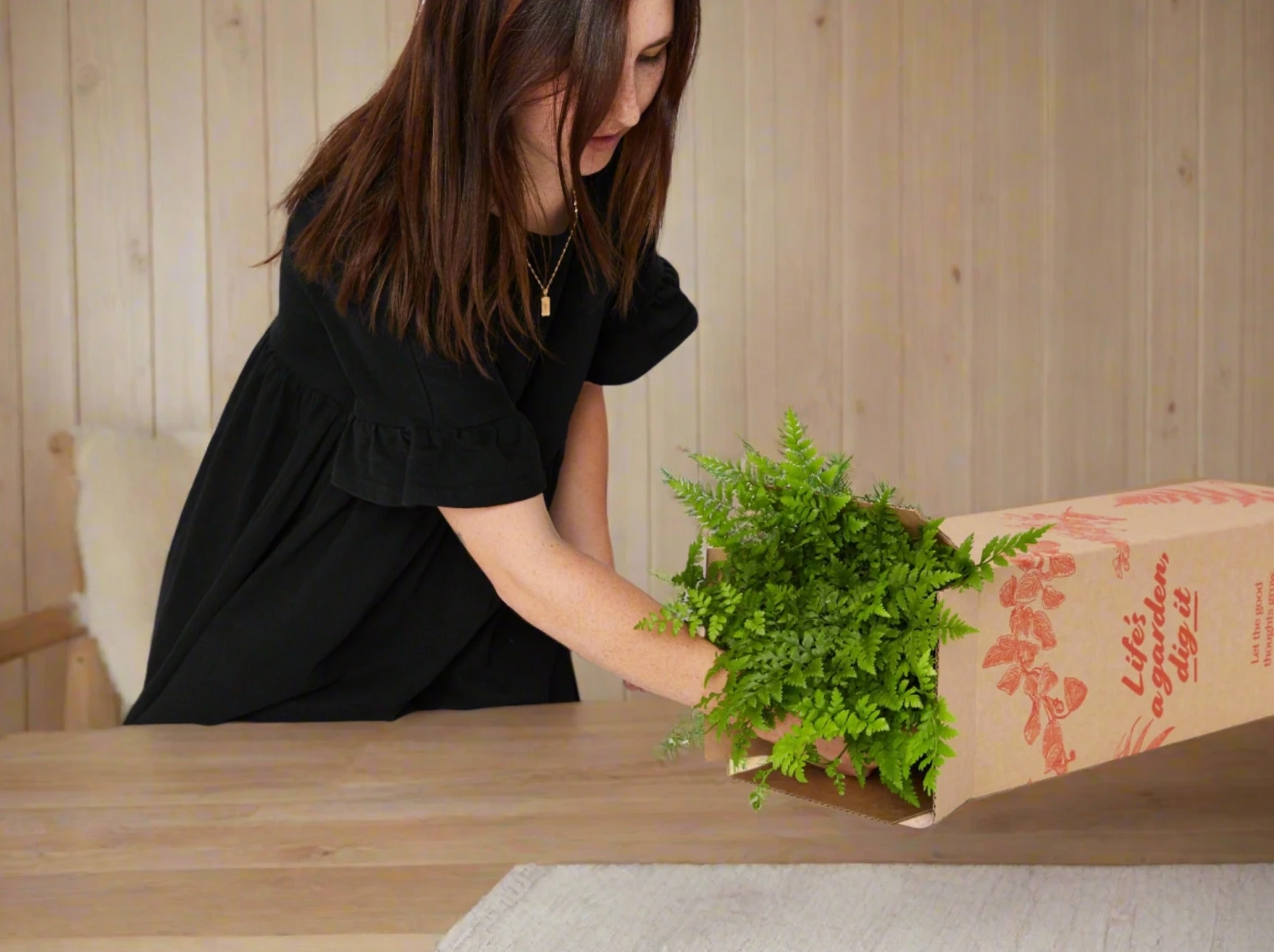 Elho Eco Friendly ♻️Gift Box - Fern Varieties - Image 2