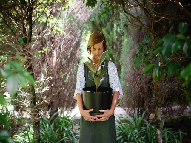 Self-Watering Pots 300mm - Image 5